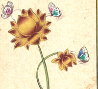 Lotus